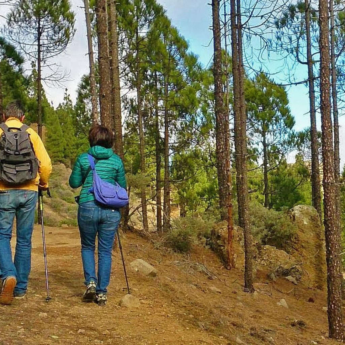 Hiking - Los Azulejos Route