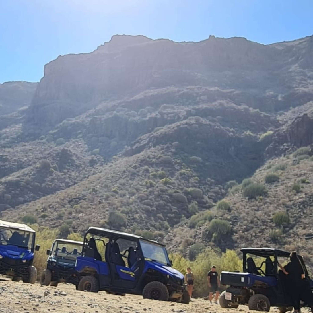Combo #1 - Super Cat & Buggy Adventure Tour