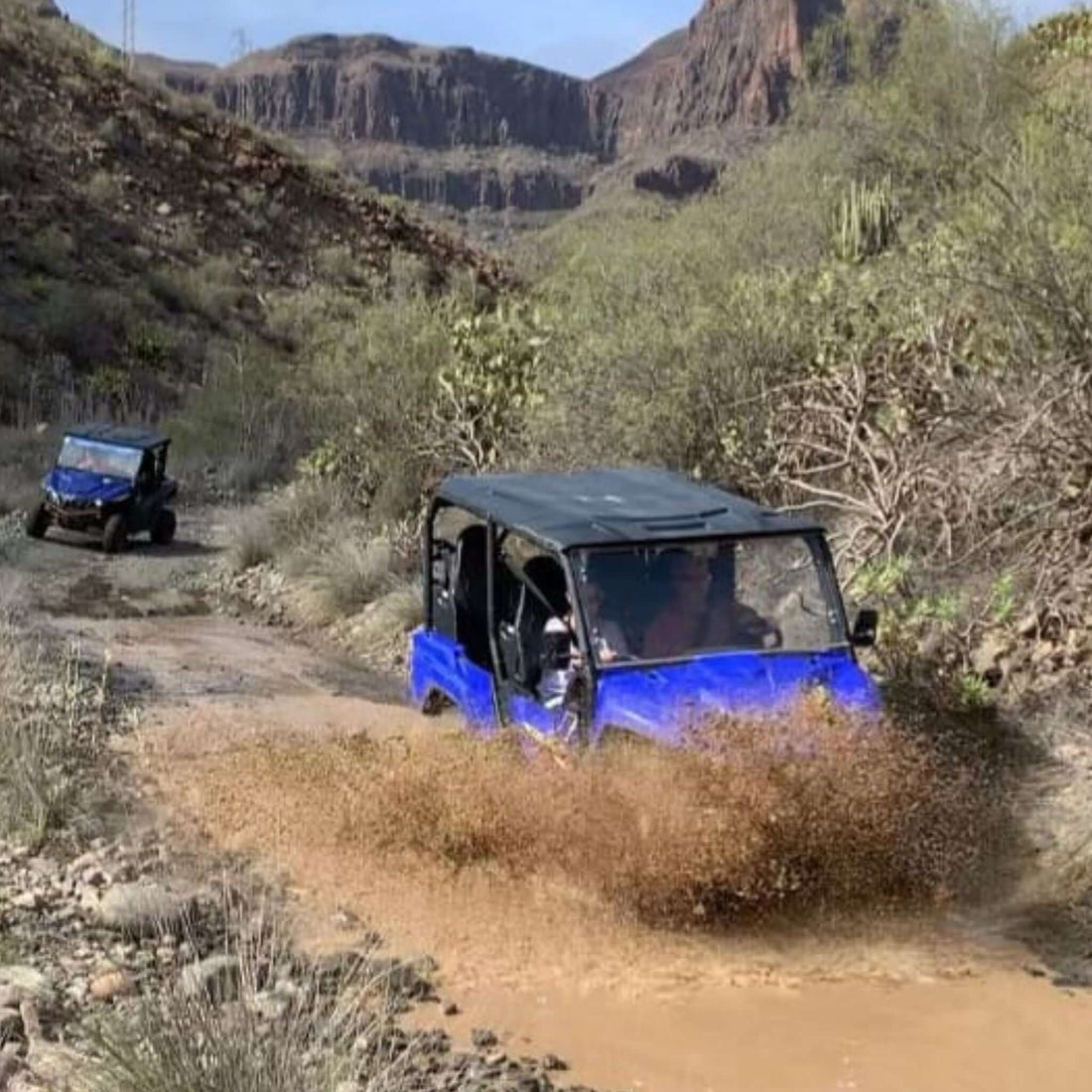 Combo #5 - Buggy Tour & Jet Ski Safari