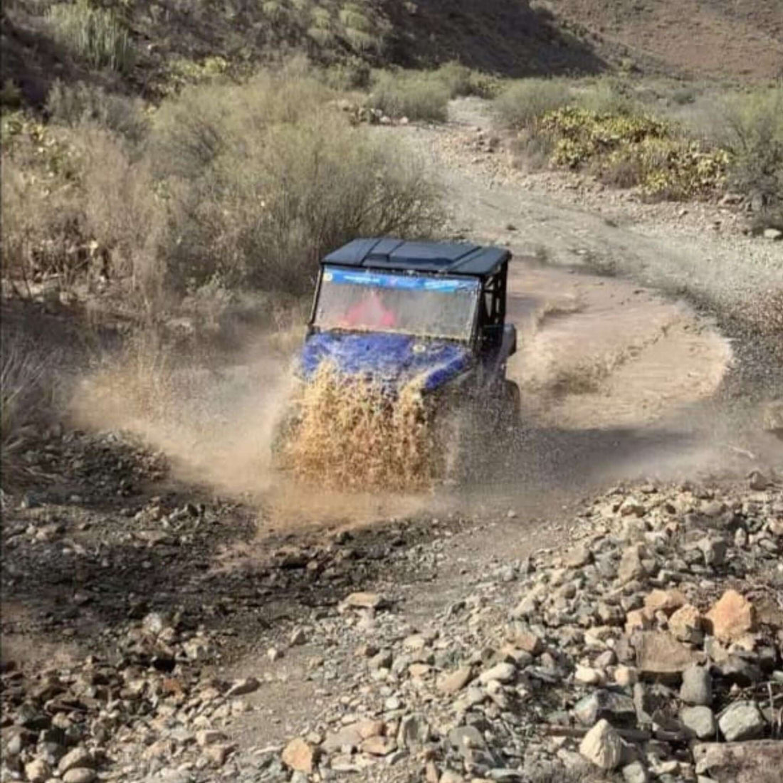Combo #1 - Super Cat & Buggy Adventure Tour