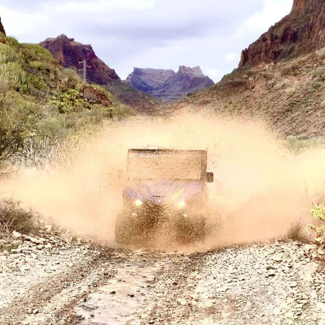 Combo #5 - Buggy Tour & Jet Ski Safari