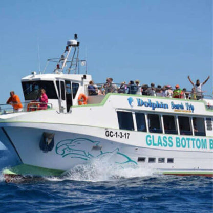 Dolphin Search Trip - Glass Bottom Boat (2,5h)