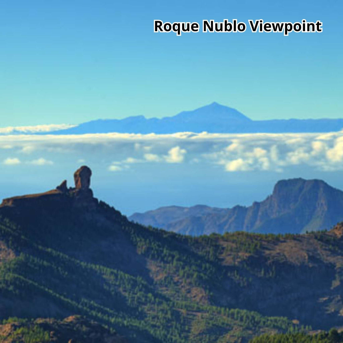 Gran Canaria by Bus - VIP Tour