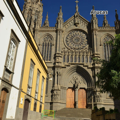 Gran Canaria by Bus - Highlights