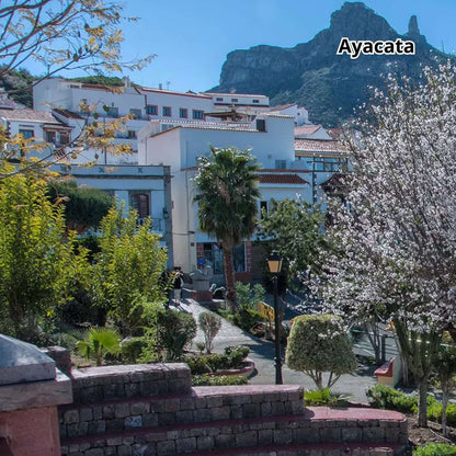 Gran Canaria by Bus - Highlights