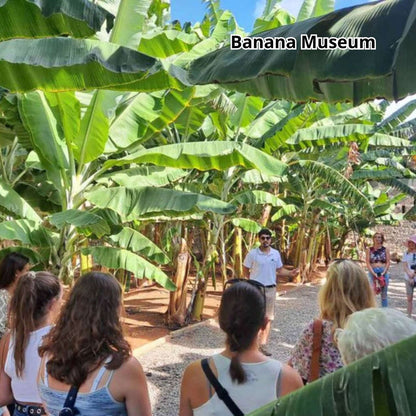Gran Canaria by Bus - Premium Tour