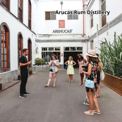 Gran Canaria by Bus - Premium Tour