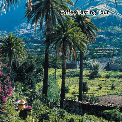 Gran Canaria by Bus - Premium Tour
