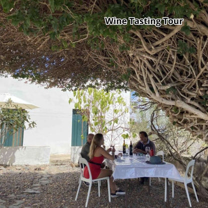 Gran Canaria by Bus - Premium Tour