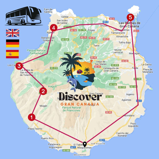 Gran Canaria by Bus - Big Island Tour