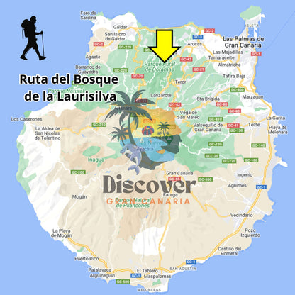 Hiking - The Laurel Forest Route