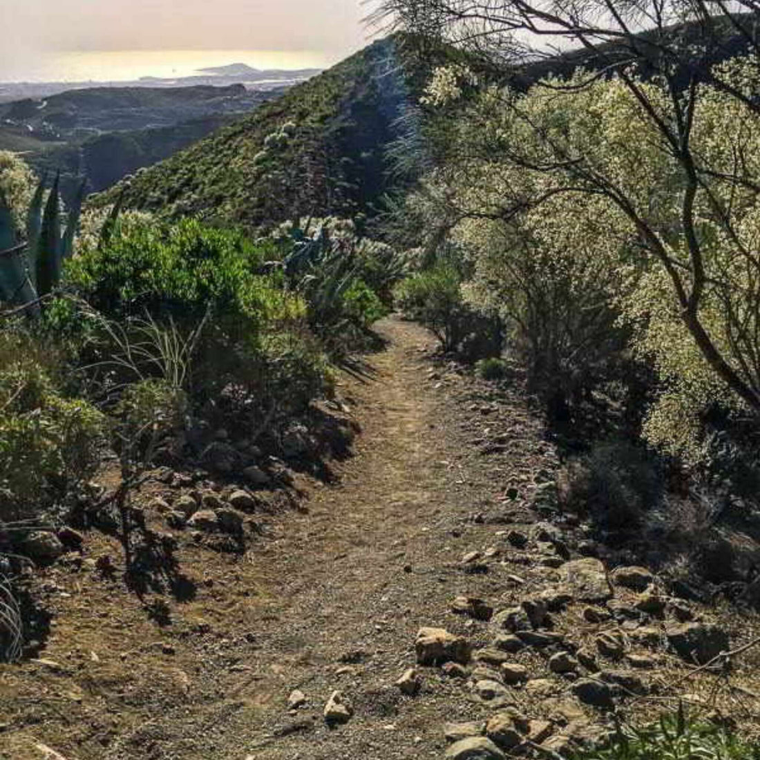 Hiking - The Bandama Crater