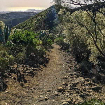 Hiking - The Bandama Crater