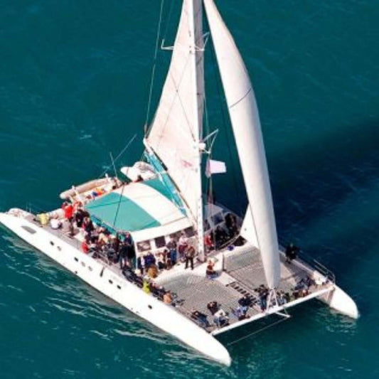 Catamaran Boat Trip (4h)