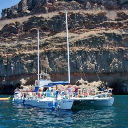 Coastal Catamaran Trip (4h)