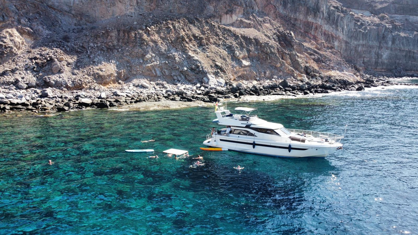 Luxury Dolphin Search Boat Trip