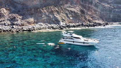 Luxury Dolphin Search Boat Trip