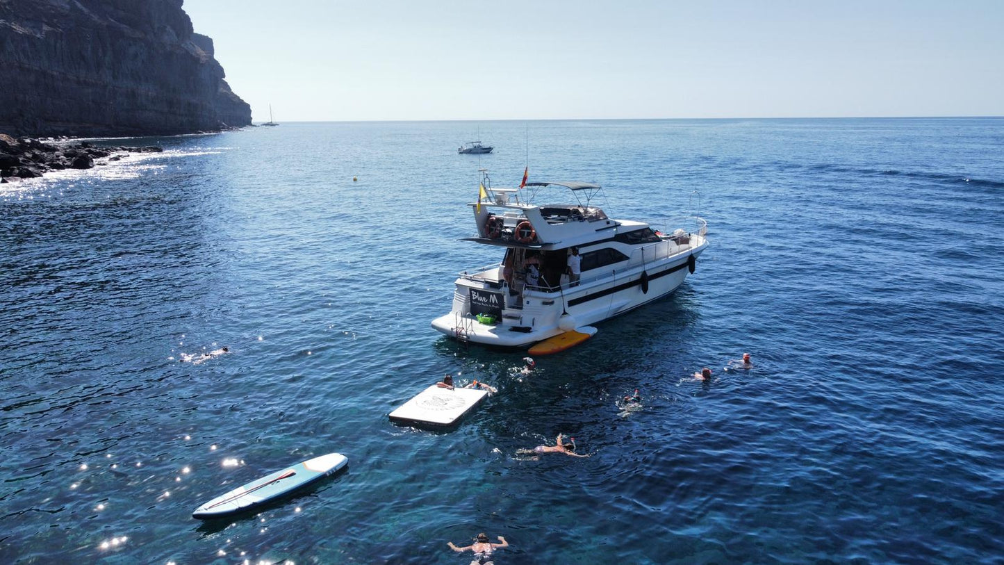 Luxury Dolphin Search Boat Trip