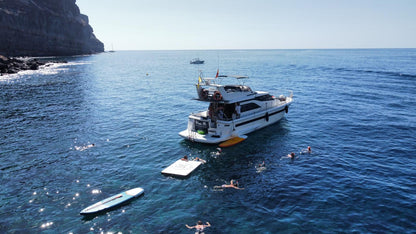 Luxury Dolphin Search Boat Trip
