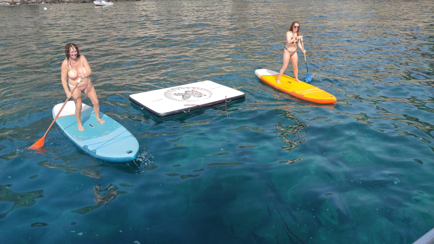 Luxury Dolphin Search Boat Trip