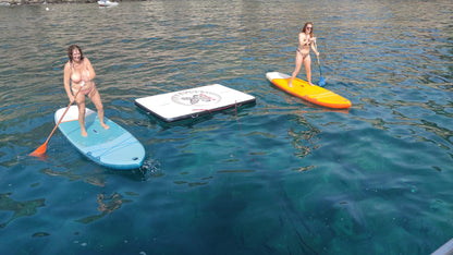 Luxury Dolphin Search Boat Trip