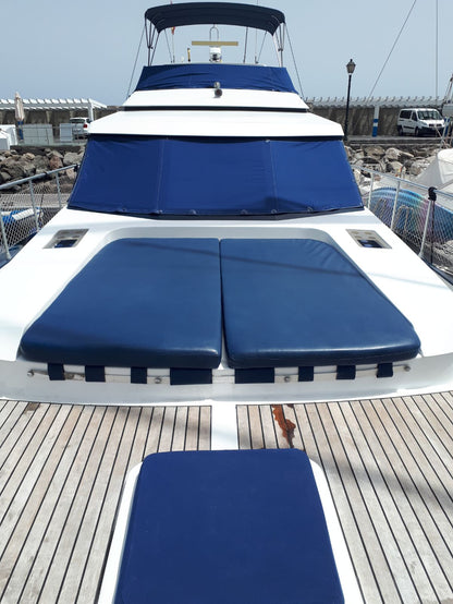 Luxury Dolphin Search Boat Trip