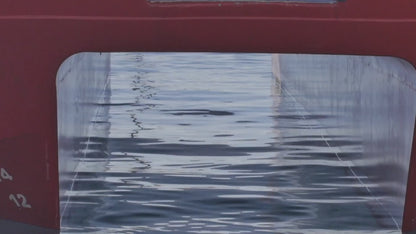 Multiacutatic Dolphin Search Trip